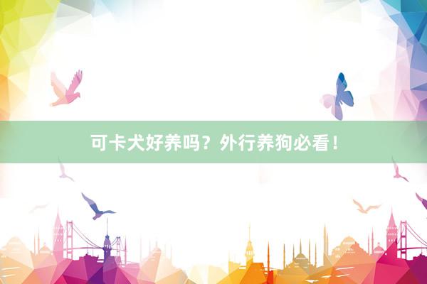 可卡犬好养吗？外行养狗必看！