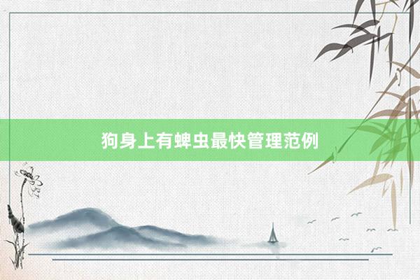 狗身上有蜱虫最快管理范例